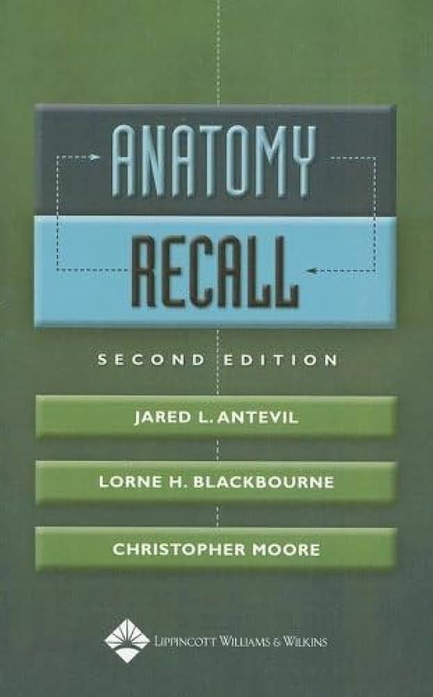 Anatomy Recall