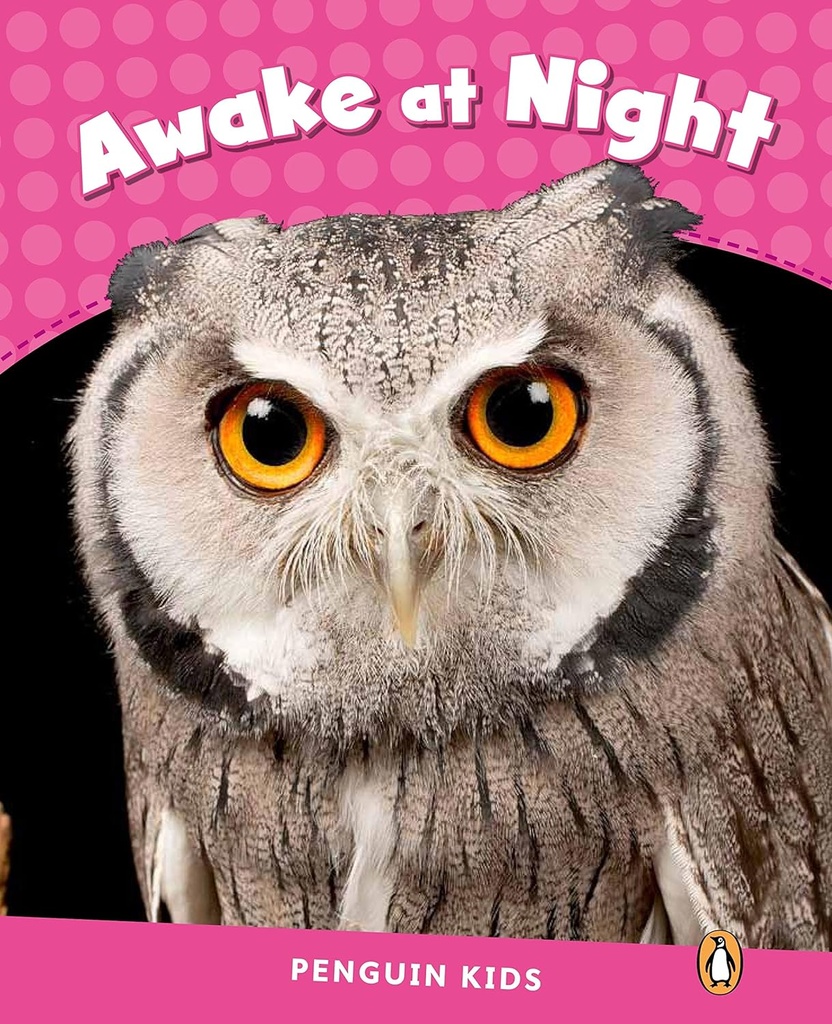 Awake At Night, Pearson Kids Readers Level 2