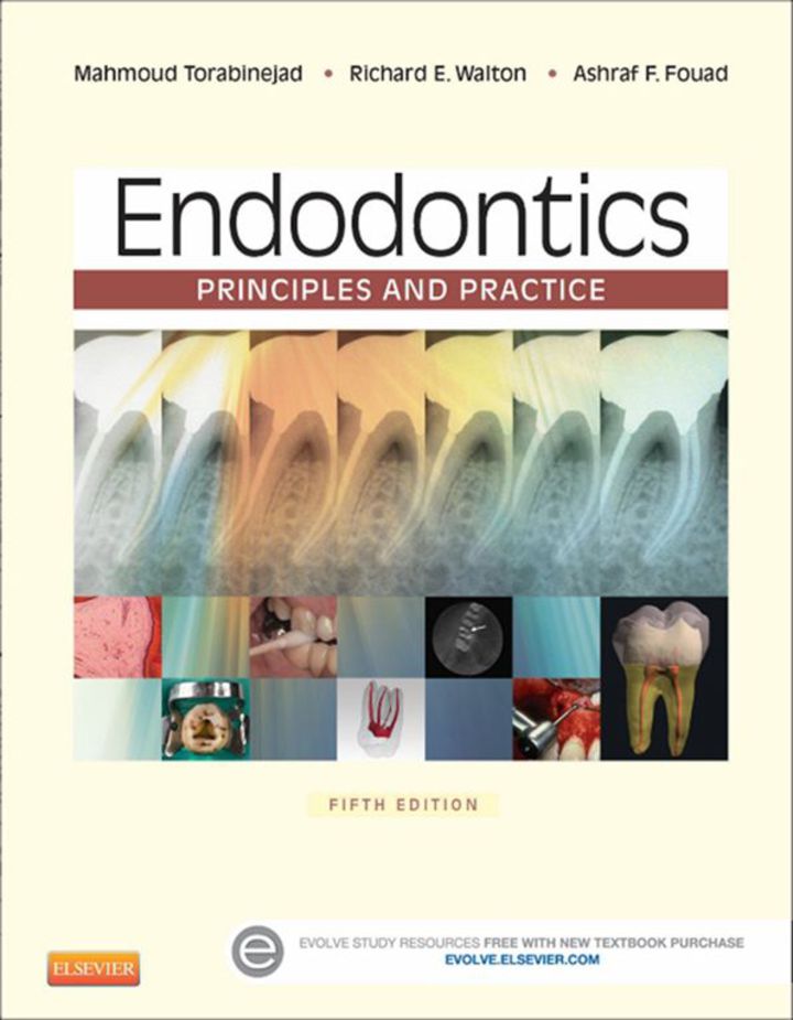 Endodontics Principles and Practice