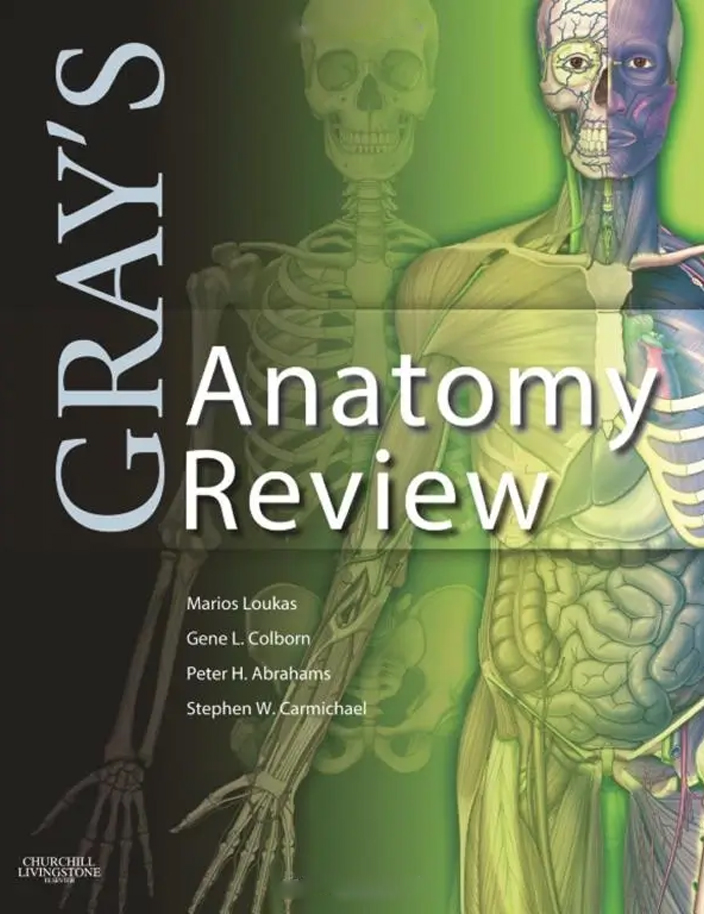 Gray's Anatomy Review