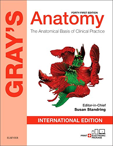 Gray's Anatomy: The Anatomical Basis of Clinical Practice