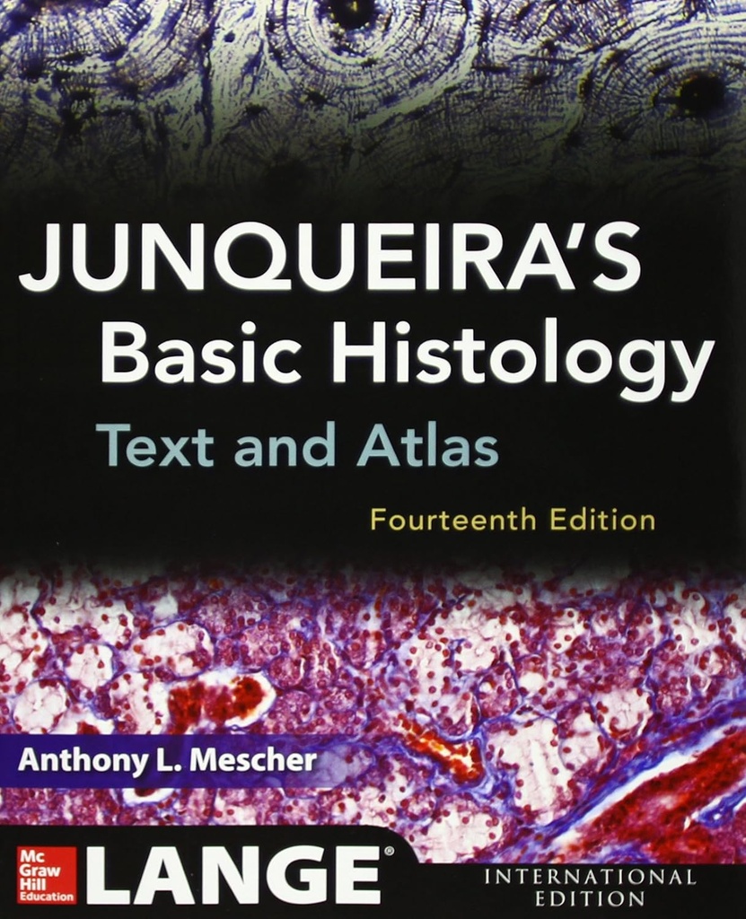 Junqueira's Basic Histology: Text and Atlas 14E