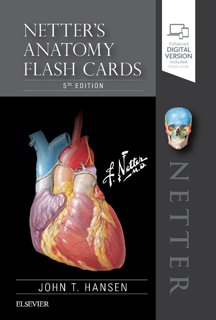 Netter's Anatomy Flash Cards 