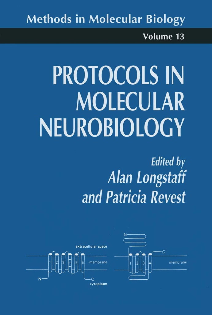 Protocols in Molecular Neurobiology 