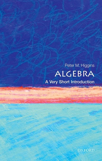 Algebra: A Very Short Introduction 