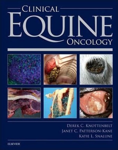 Clinical Equine Oncology