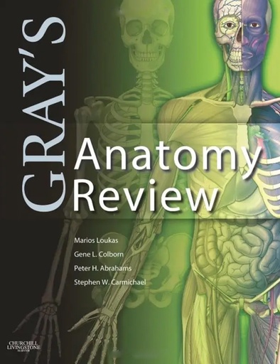 Gray's Anatomy Review