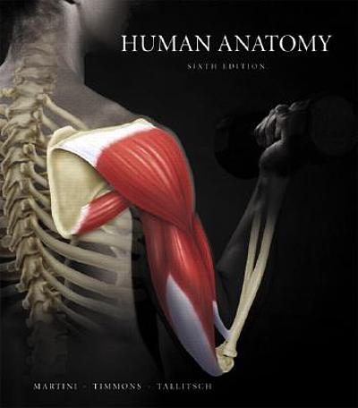 Human Anatomy 