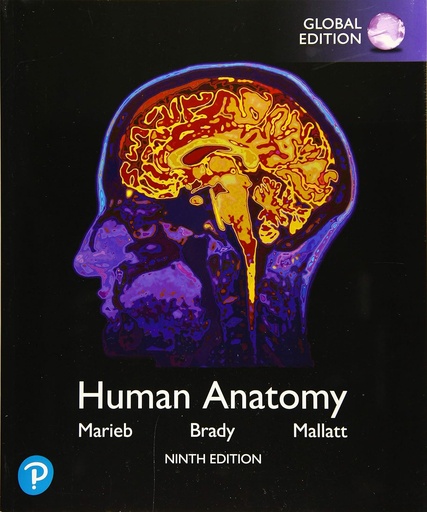 Human Anatomy 9E