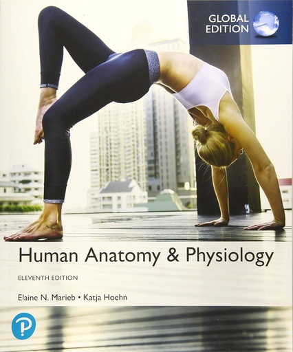 Human Anatomy and Physiology