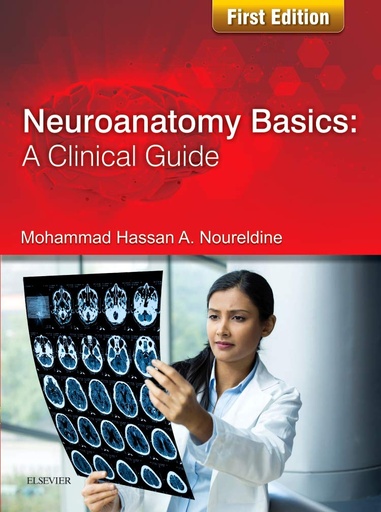 Neuroanatomy Basics: A Clinical Guide 